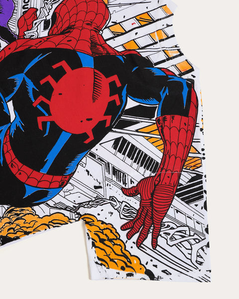 Spiderman vs Goblin