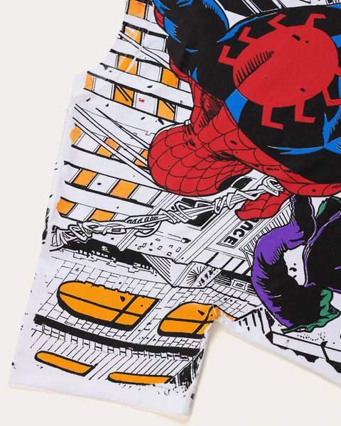 Spiderman vs Goblin