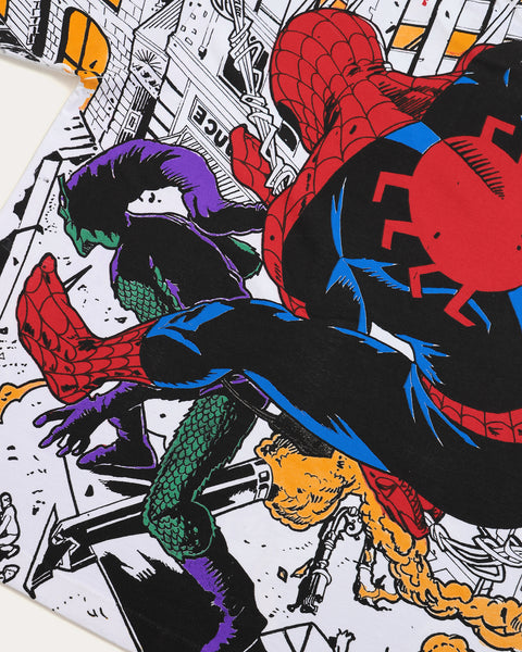 Spiderman vs Goblin