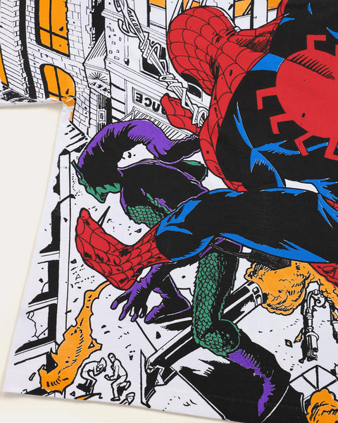 Spiderman vs Goblin