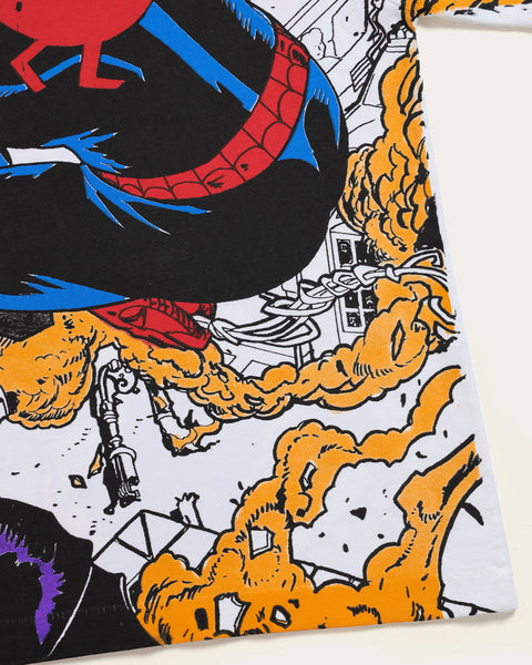 Spiderman vs Goblin