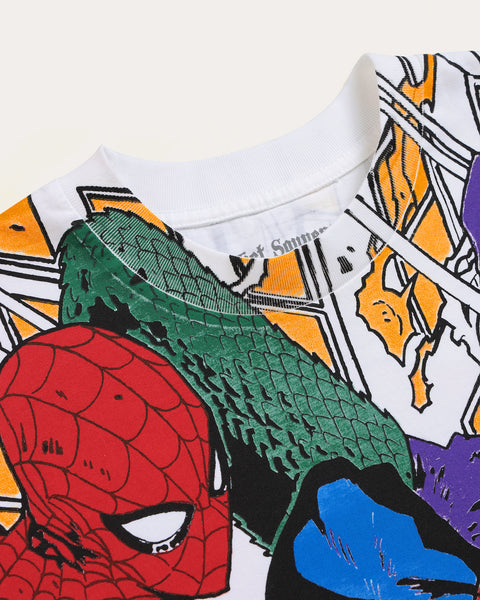 Spiderman vs Goblin