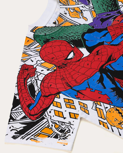 Spiderman vs Goblin