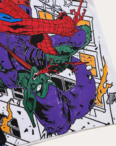 Spiderman vs Goblin