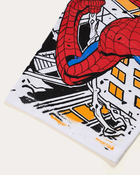 Spiderman vs Goblin