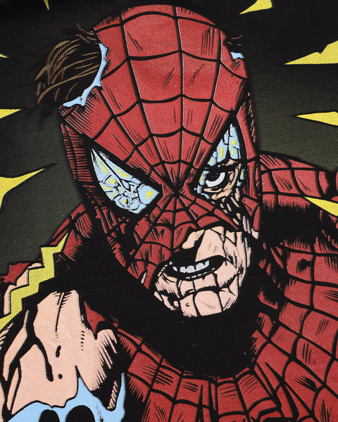 Spider man x Goblin