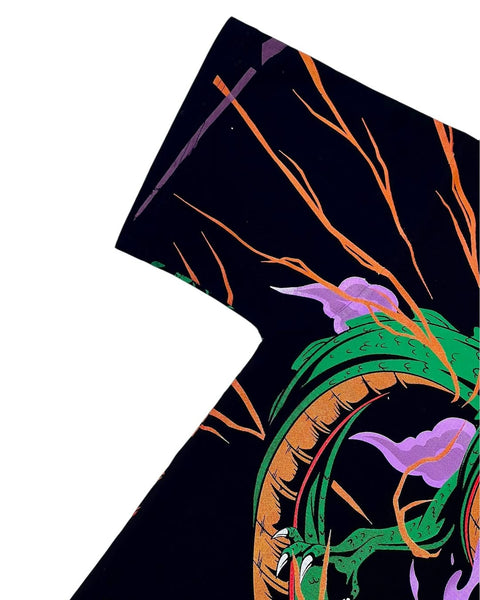 Shenlong - Thefittedgoonz