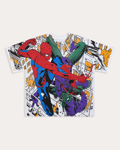 Spiderman vs Goblin